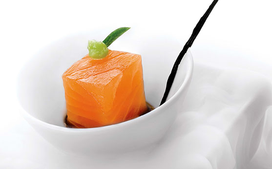 salmon